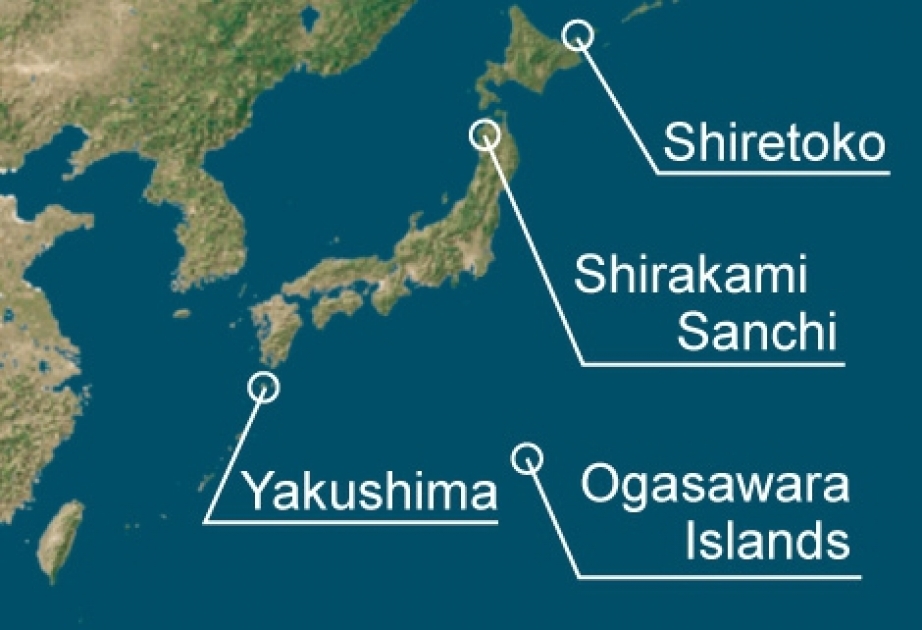 Earthquake of magnitude 6.2 strikes off Japan’s Bonin islands