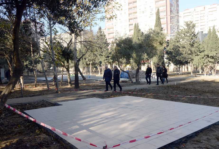 Nəsimi rayonunda növbəti ağacəkmə aksiyası keçirilib