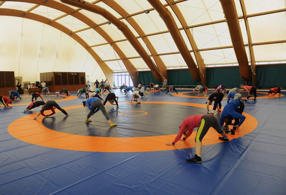 Baku to host wrestling Gold Grand Prix tournament