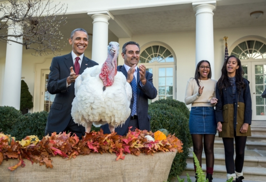 В четверг американцы празднуют День Благодарения