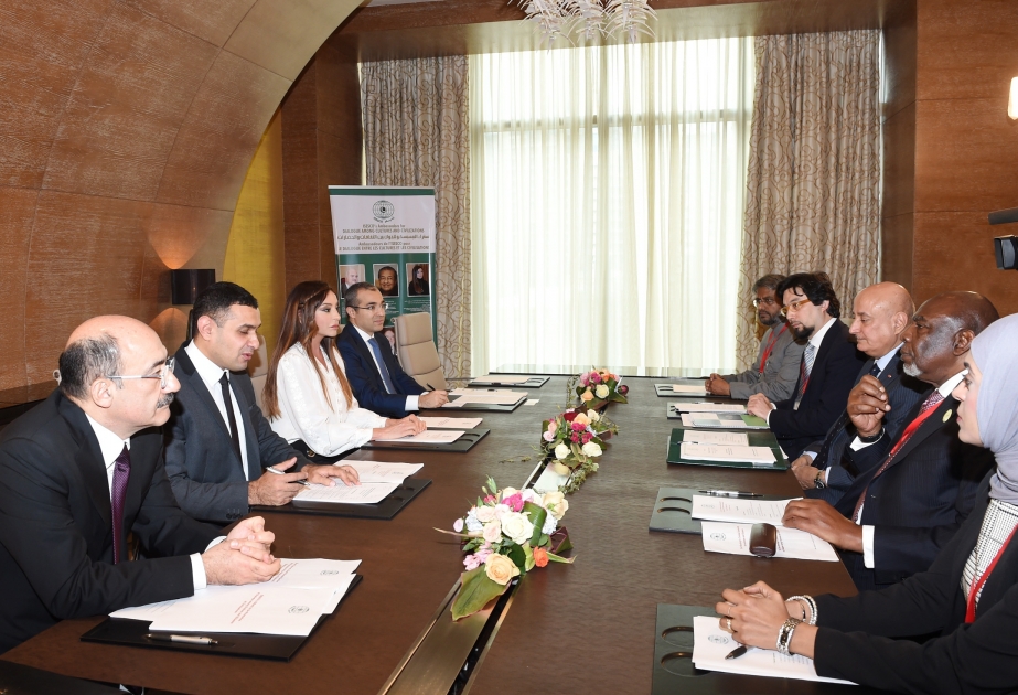 Azerbaijan`s first lady meets ISESCO Director General and goodwill ambassadors
