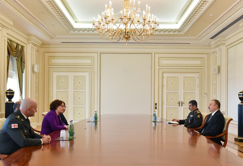 President Ilham Aliyev received the Georgian Defence Minister VIDEO