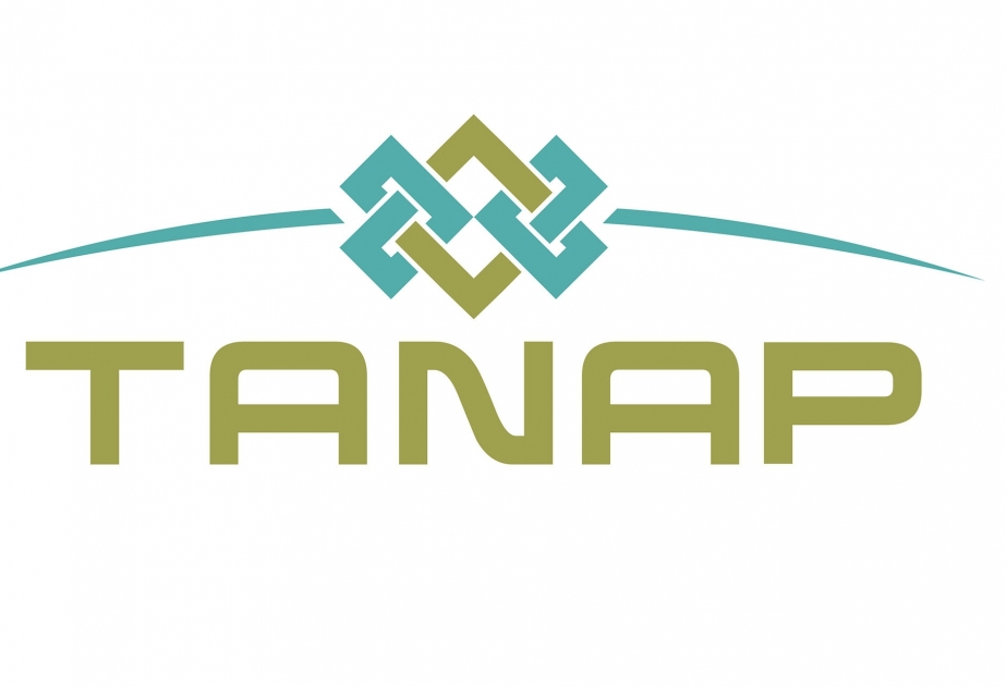 Ahmet Davutoglu: TANAP will be launched sooner than 2018