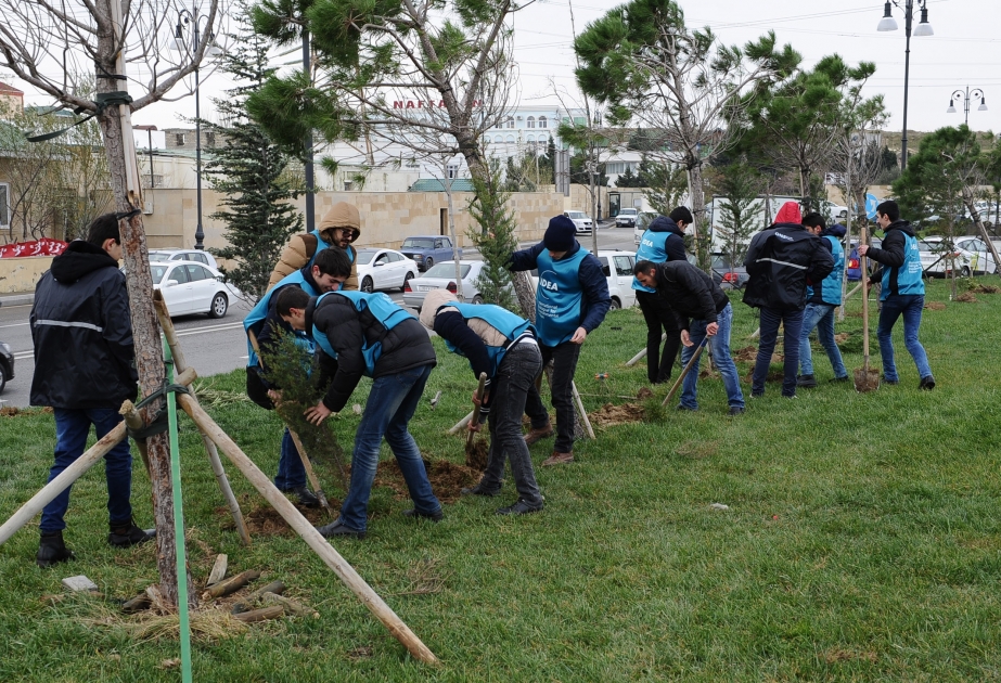 IDEA İctimai Birliyinin təşəbbüsü ilə Badamdar qəsəbəsində 1500 ağac əkilib