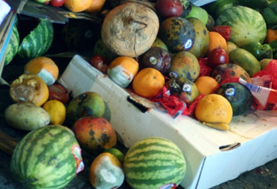 В ФАО запустили новую инициативу по борьбе с пищевыми отходами