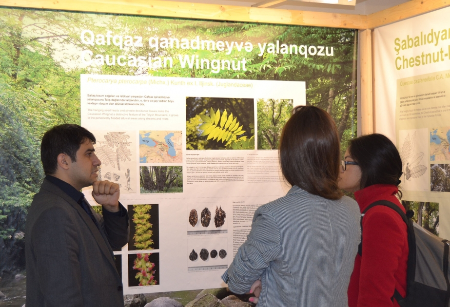 植物研究所加强植物多样性保护国际合作