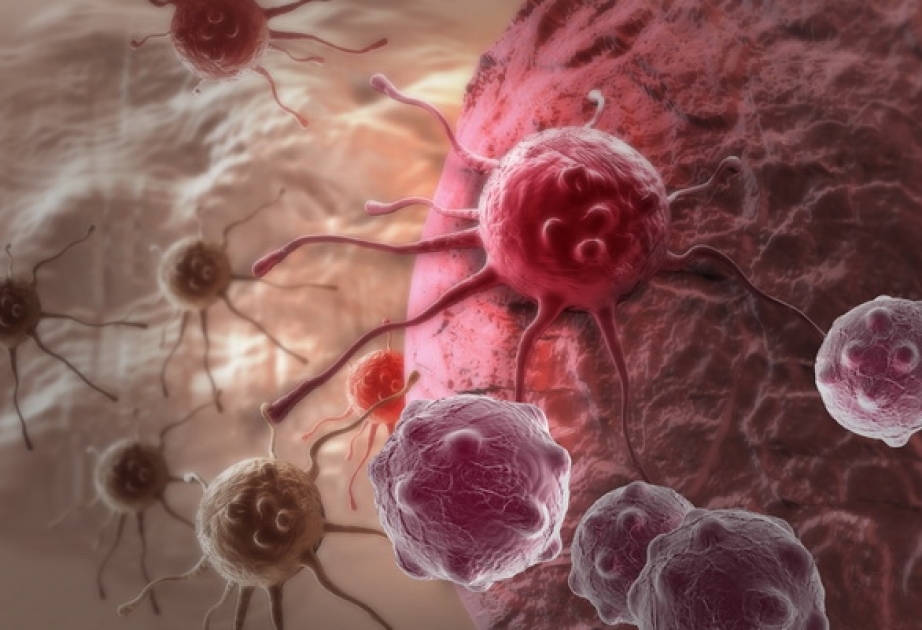 Американские ученые назвали главную причину возникновения рака