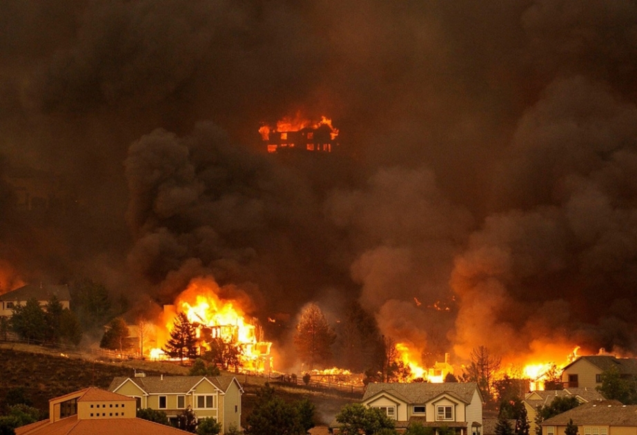 Лесные пожары на юге Австралии уничтожили более ста домов ВИДЕО