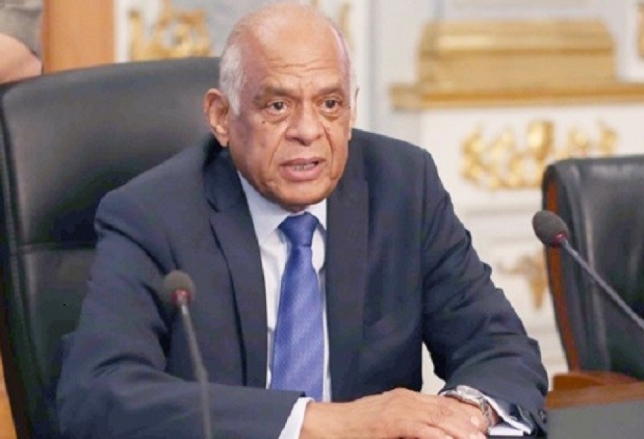 В Египте избран председатель парламента