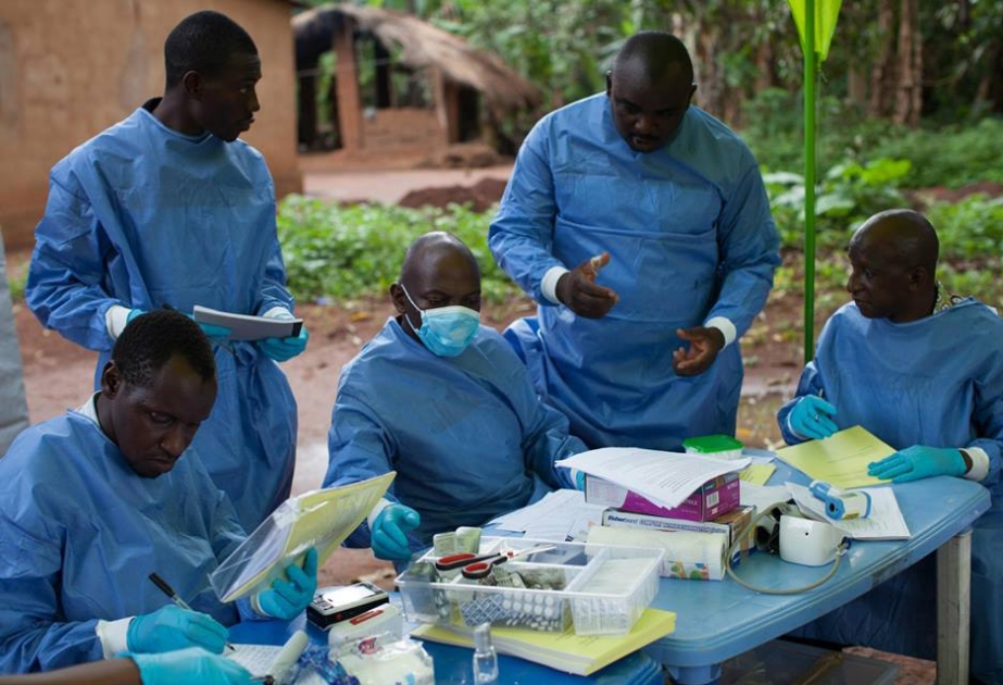 14 января Западная Африка объявит о победе над Эболой