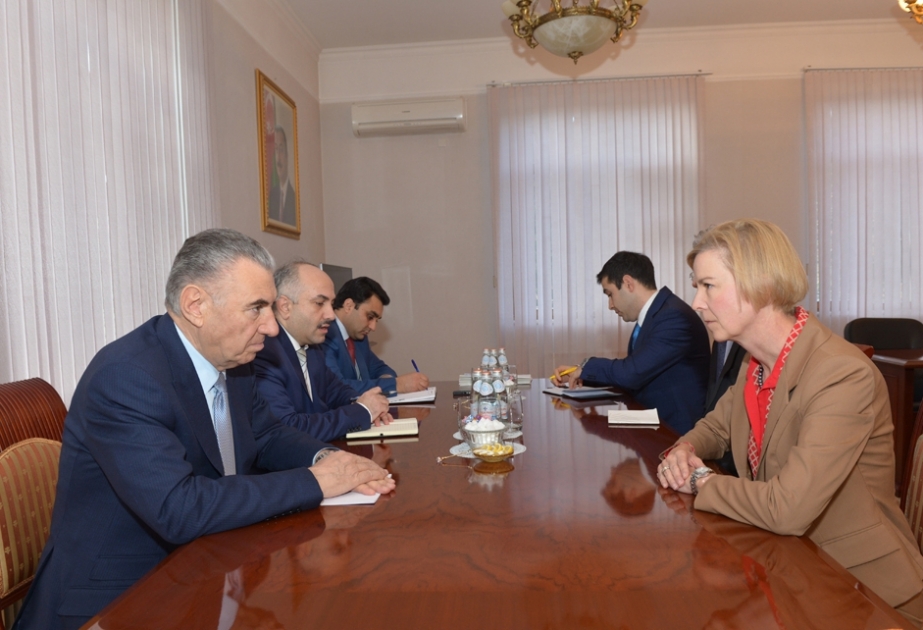 В Государственном комитете по делам беженцев и вынужденных переселенцев состоялась встреча с послом Швеции в Азербайджане