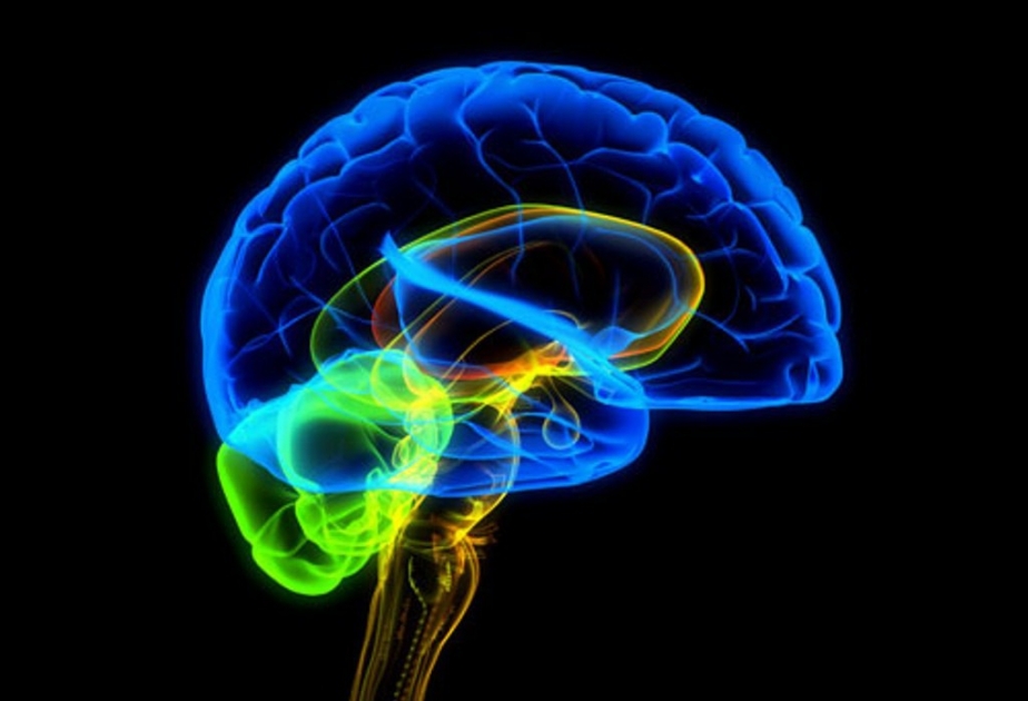 Объем памяти человеческого мозга в 10 раз больше, чем считалось