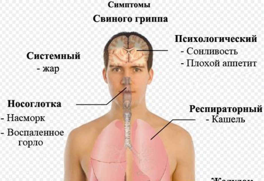 В Баку пройдет акция «Вместе мы победим опасный вирус»