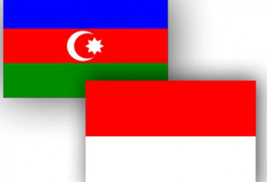 فتح مجالات إنتاجية جديدة في إندونيسيا بمشاركة أذربيجان