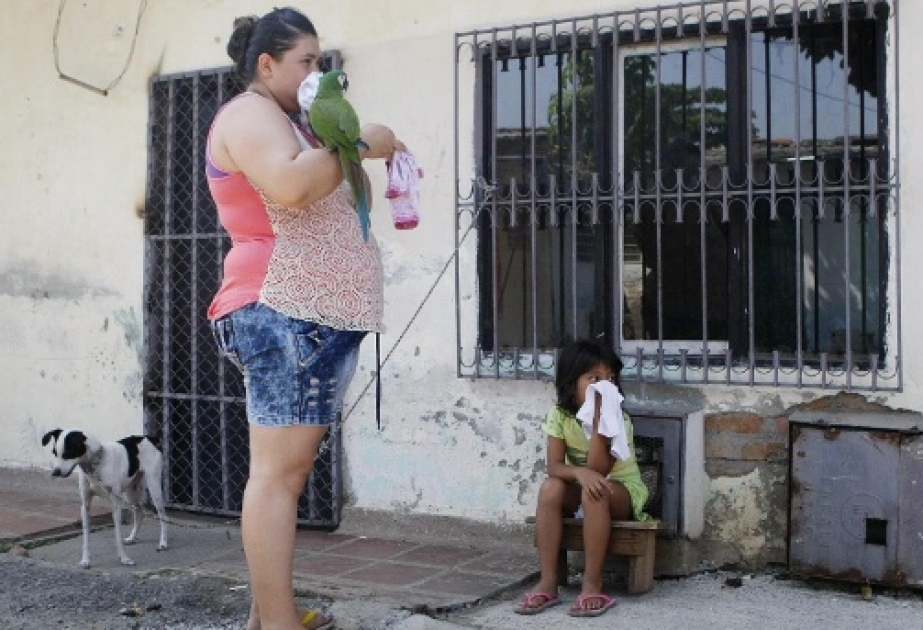 In Kolumbien mehr als 2100 Schwangere mit Zika-Virus infiziert