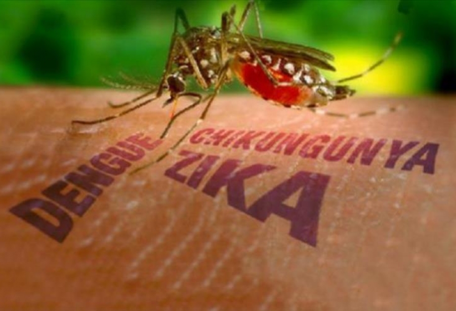 Was ist das Zika-Virus?