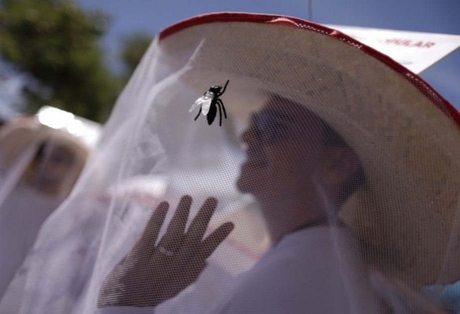 Zika-Virus: Erster eingeschleppter Fall in China entdeckt