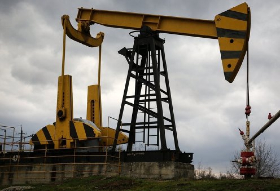 انخفاض إنتاج النفط في بلدان خارج أوبك 700 ألف برميل يوميا خلال العام الحالي