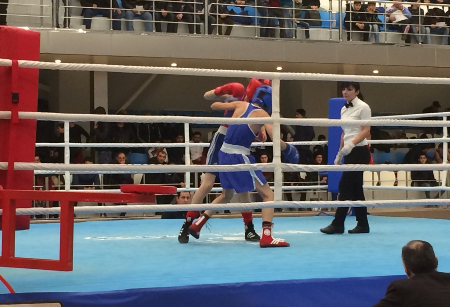 Gənclər arasında boks üzrə ölkə çempionatına yekun vurulub
