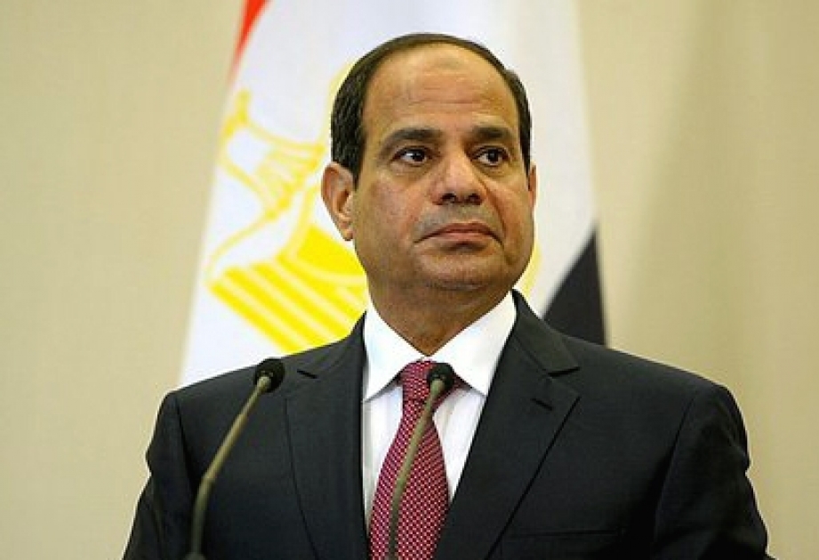 Абдельфаттах ас-Сиси: Египет не будет вмешиваться в ситуацию в Сирии
