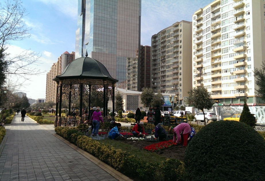 Xocalı parkında abadlıq işləri görülür