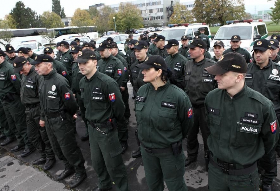 Словакия создала 80 полицейских патрулей быстрого реагирования