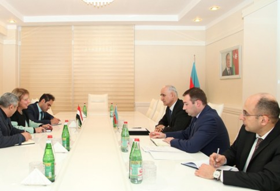 Azerbaijan, Egypt discuss ties in economic field