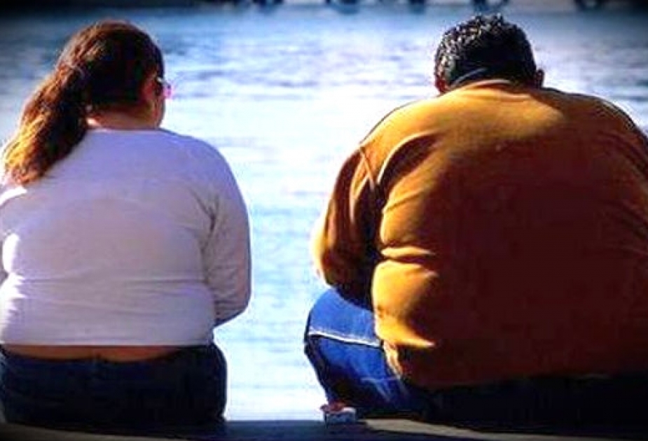 Ученые: ожирением можно заразиться, как вирусом