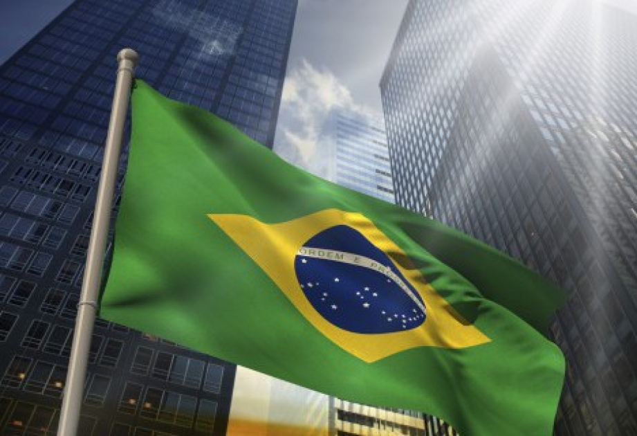 Экономика Бразилии рухнула на 3,8 процента впервые за 25 лет