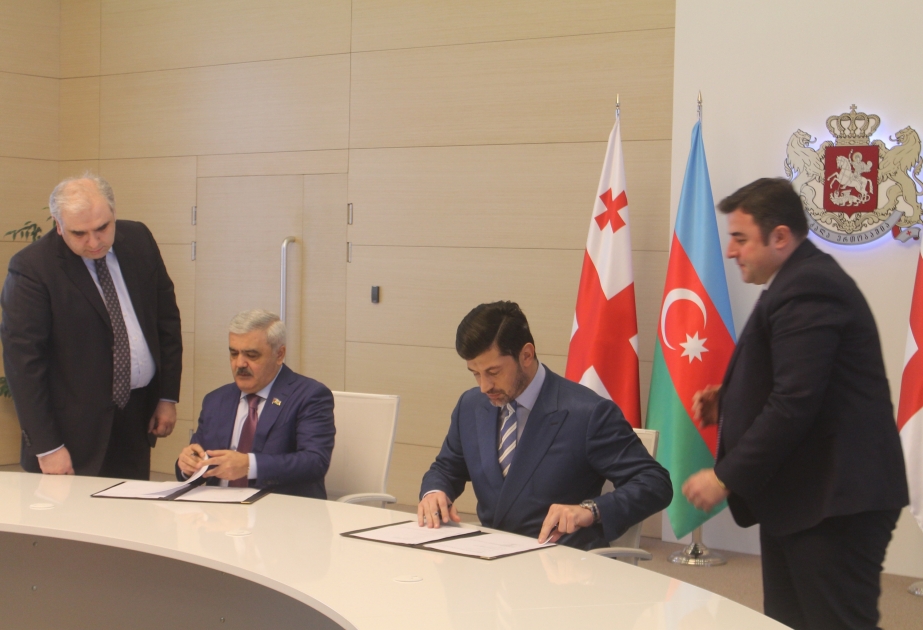 阿塞拜疆与格鲁吉亚签署4份天然气输送有关文件