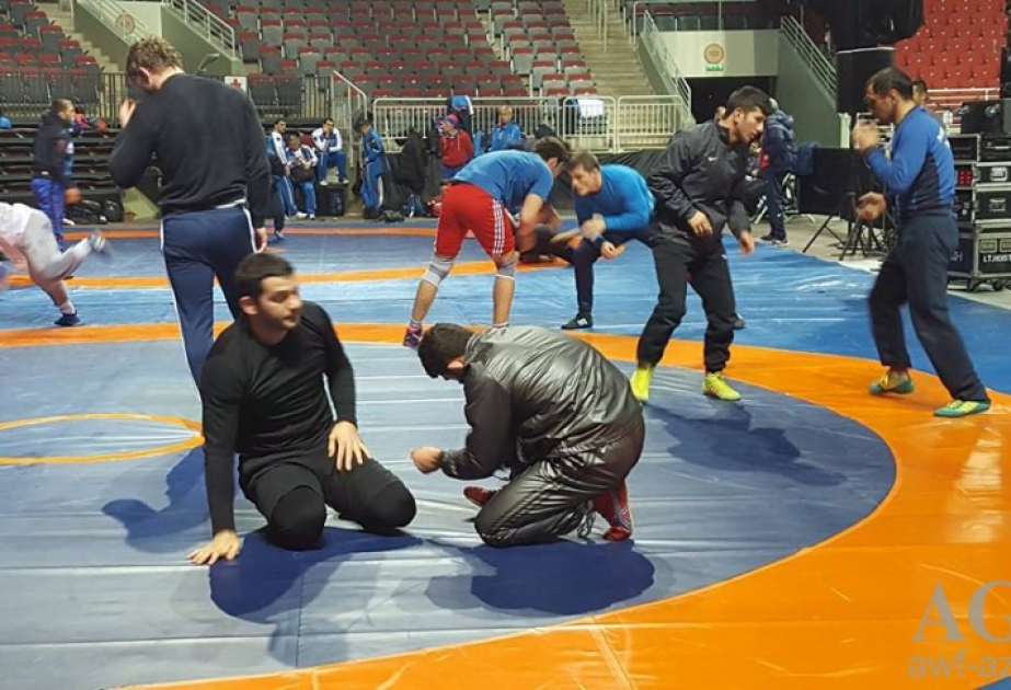 Azərbaycan güləşçiləri Riqada keçiriləcək Avropa çempionatına ciddi hazırlaşırlar