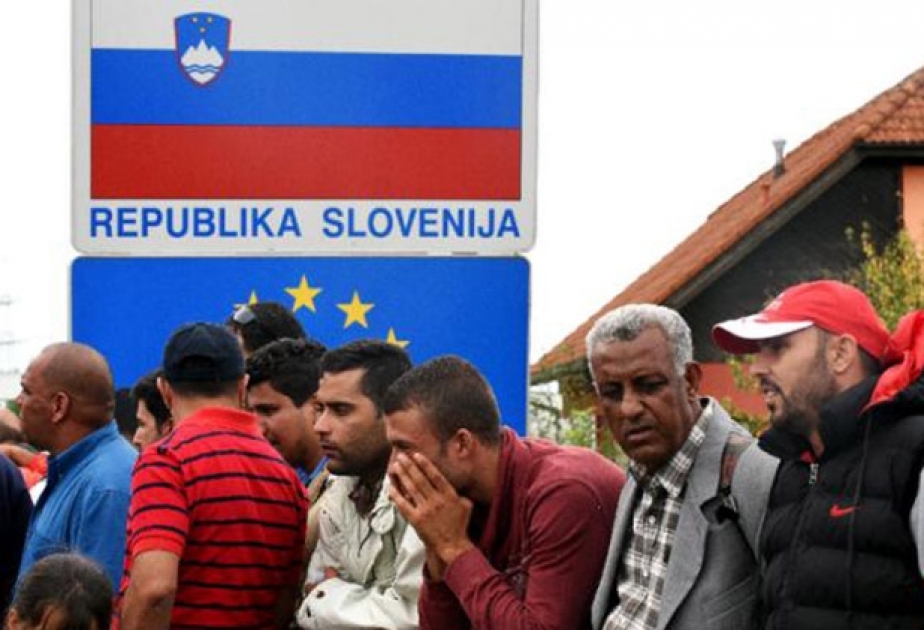 Прага помогает Словении с охраной границ от мигрантов