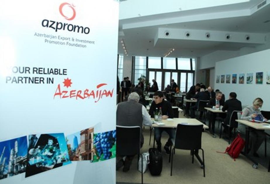 Azerbaijan, Czech Republic discuss prospects for new business relations