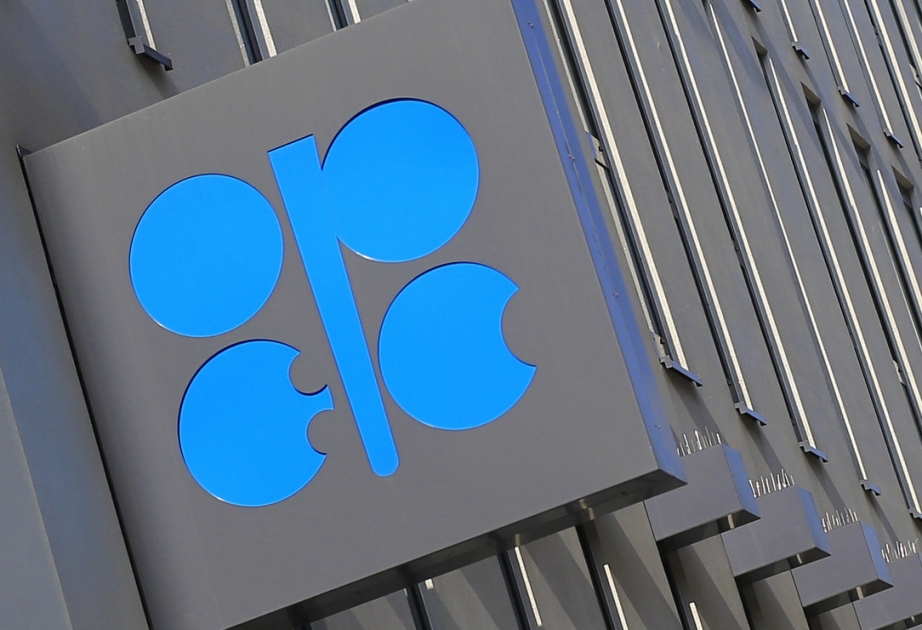 OPEC Says Crude Production Fell in February