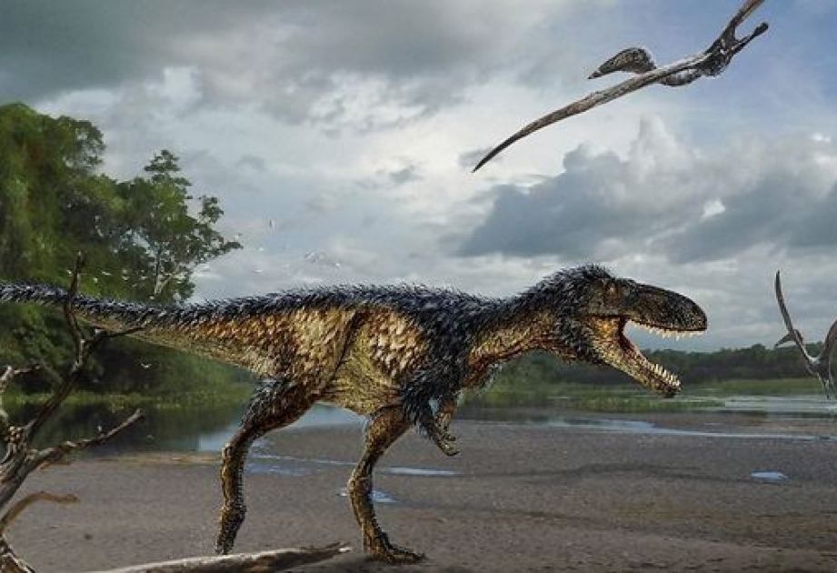 Usbekistan: Forscher präsentieren neuen Vorfahren des Tyrannosaurus rex