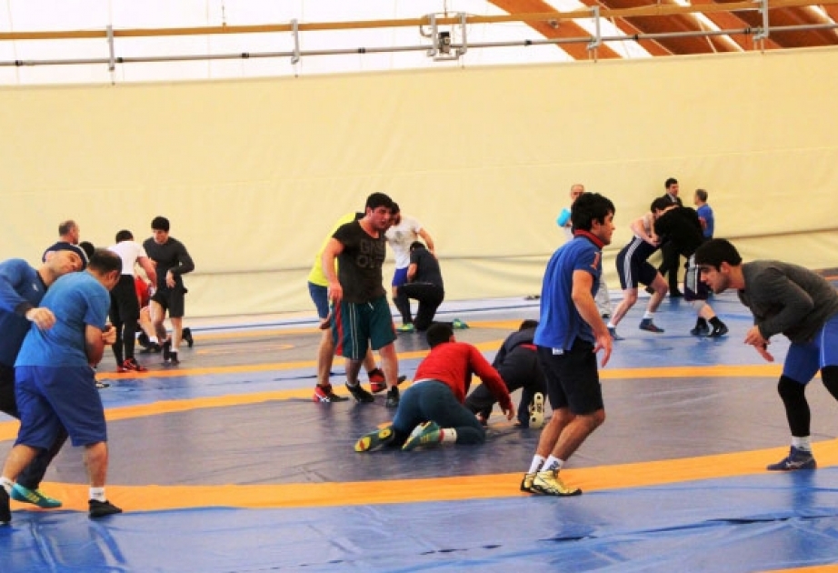 Güləş üzrə böyüklərdən ibarət yığma komandalarımız Olimpiya təsnifat turnirlərinə hazırlaşır