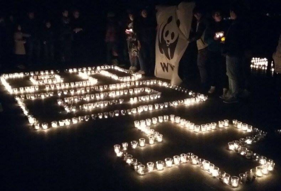 Баку, Гянджа, Лянкяран и Губа присоединились к экологической акции "ЧАС ЗЕМЛИ-2016"