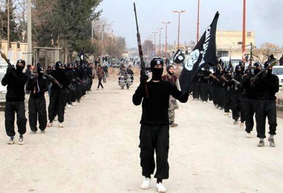 Шведы, желавшие примкнуть в ряды ИГИЛ, задержаны в Турции