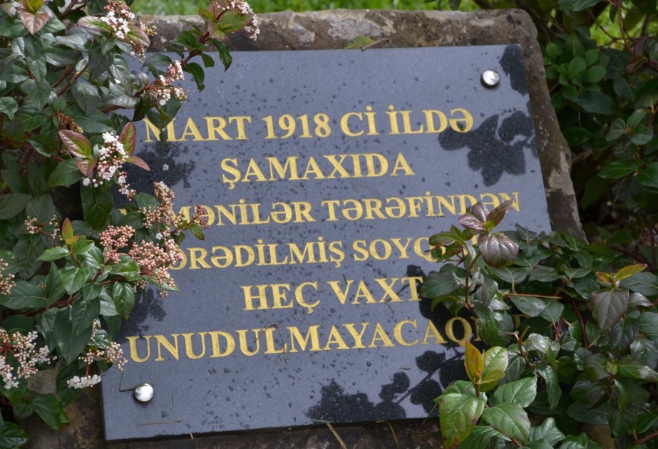 Şamaxıda 31 Mart - Azərbaycanlıların Soyqırımı Günü kütləvi tədbirlərlə qeyd olunub