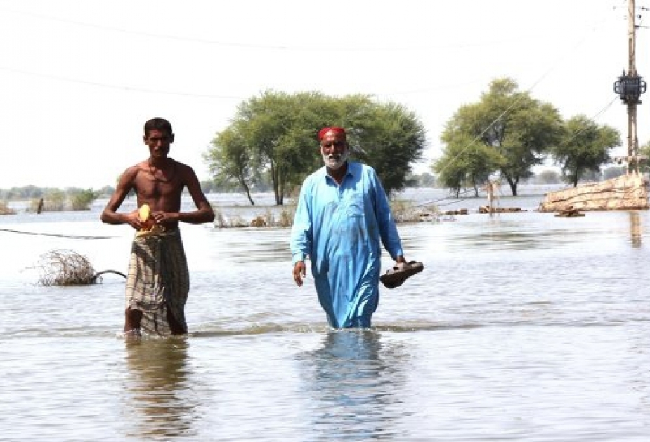 Ten killed in rain related incidents in Pakistan