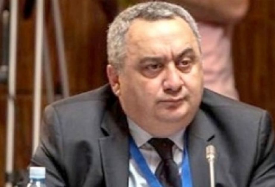 Gürcüstan parlamentindəki çoxluq ermənilərə etiraz etdi