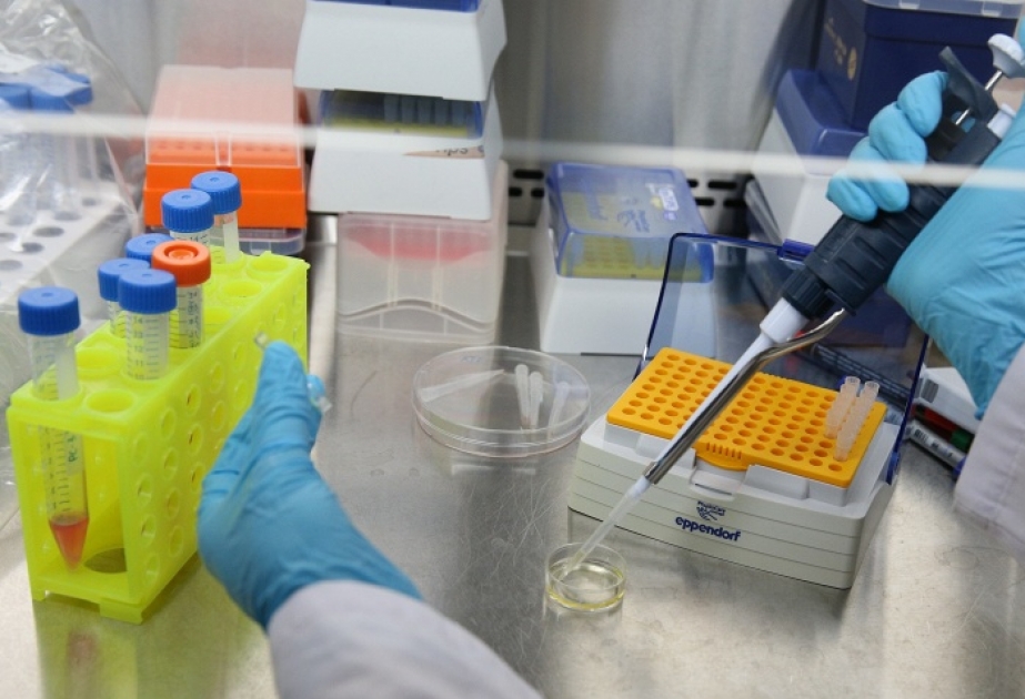 СМИ: японские ученые обнаружили гены, которые приводят к лейкемии