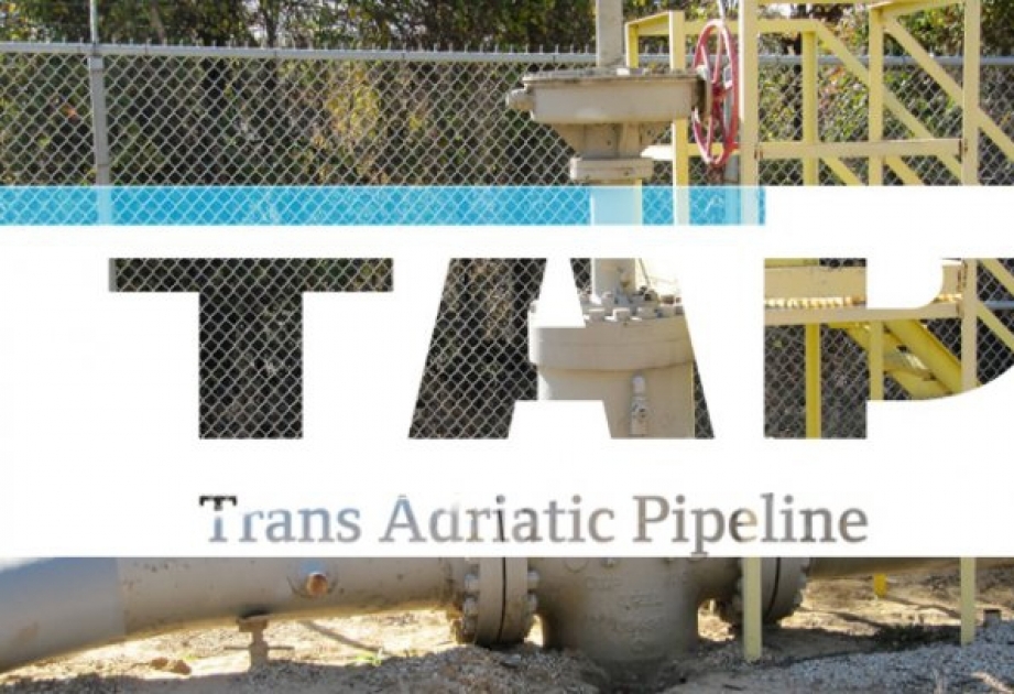 Le groupe allemand EMS-Fehn lance ses activités sur le projet de TAP