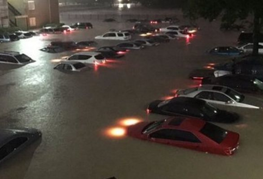 At least eight dead in Houston-area floods, more rain falls