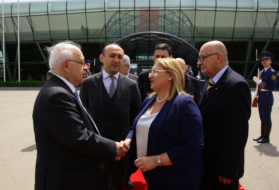 Malta Prezidenti Mari-Luiz Koleyro Prekanın Azərbaycana işgüzar səfəri başa çatıb