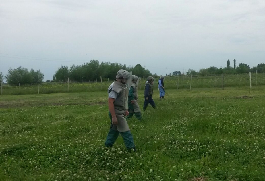ANAMA проводит работу по обнаружению боеприпасов в ряде прифронтовых районов