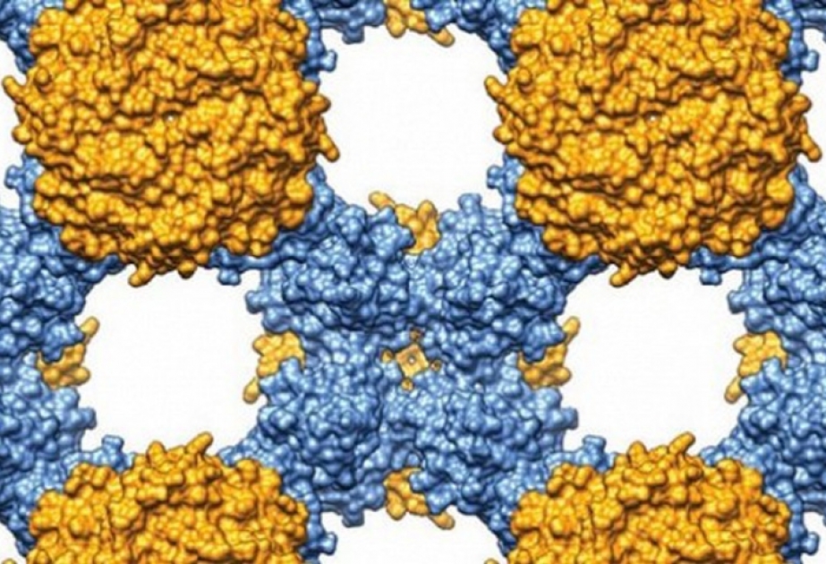 Ученые создали защитный материал из кристаллов белка