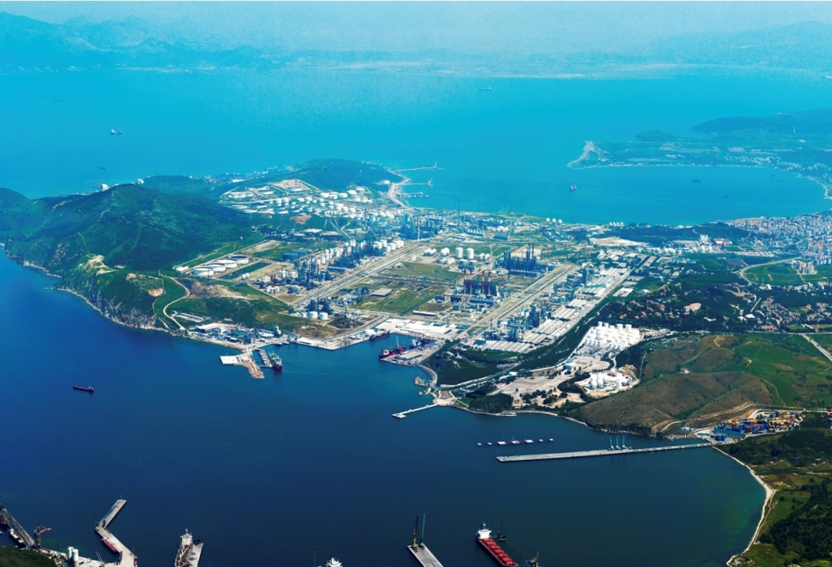 EIB to allocate $80 million to Petkim