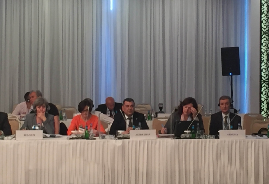 Azerbaijani deputy minister elected deputy chair of 30th session of FAO Regional Conference for Europe