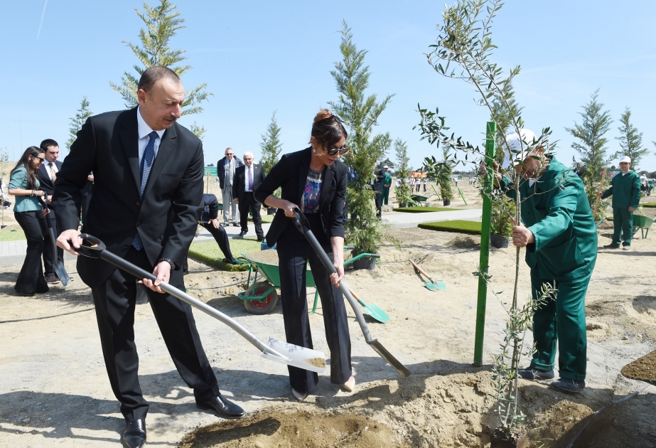 President Ilham Aliyev attended tree planting event marking birthday anniversary of national leader Heydar Aliyev VIDEO